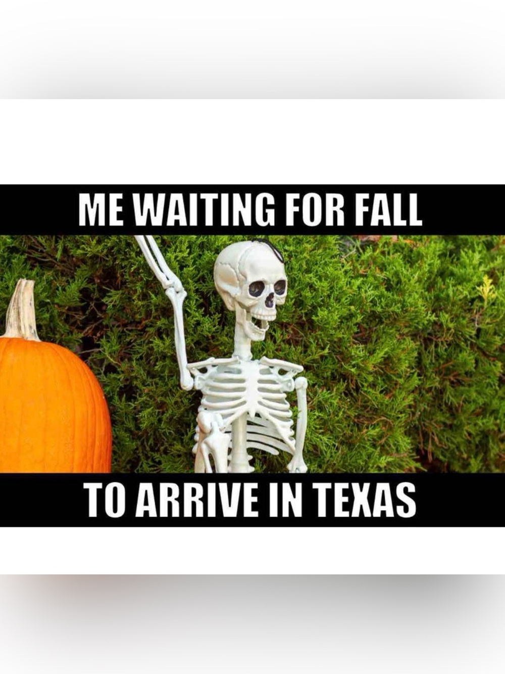 COME ON FALL! FUNNY TEXAS MEMES 🏈🔥🍂🍁🍂🍁🍂